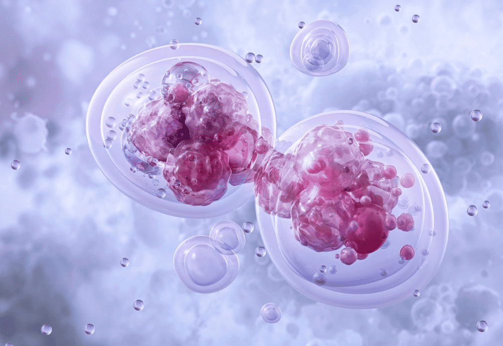 アナバイトの生殖障害の噂